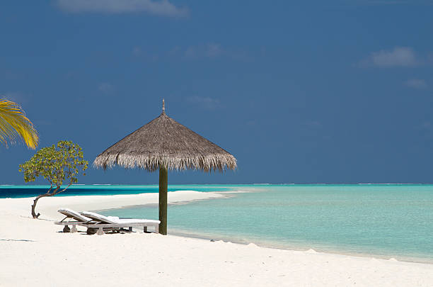 istock Maldives paradise beach with beach chairs 174852901