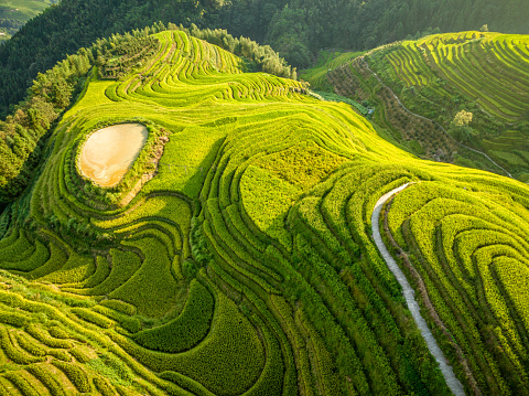 Rice Terraces and farming village in Longsheng at sunset, Guangxi province, China. Abstract forms of the land