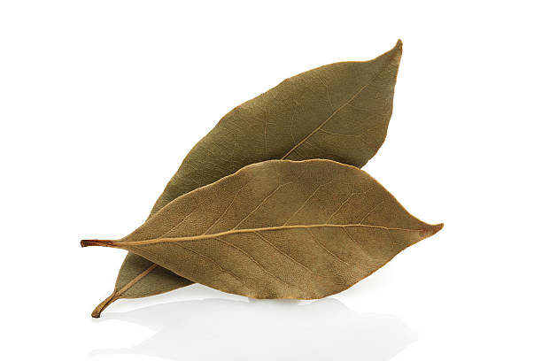 getrocknete bay leaf - laurel bay leaf leav stock-fotos und bilder