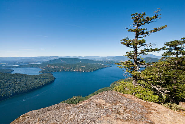 istock Burgoyne Bay from Mount Maxwell 174853331