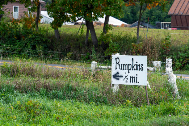 istock Pumpkins for Sale 1748533371