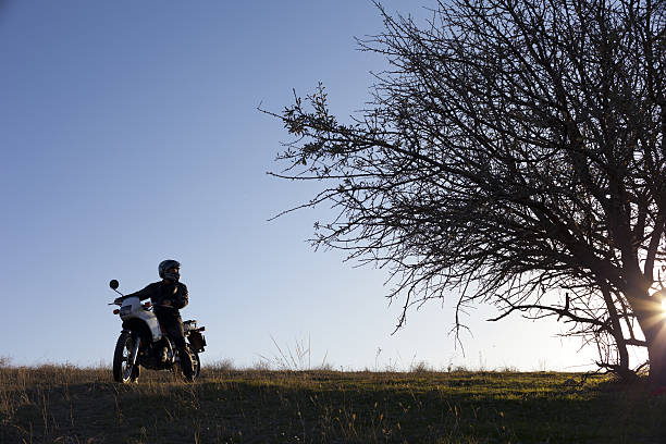 istock Rider silhouetted by sun during sunset. 174853426
