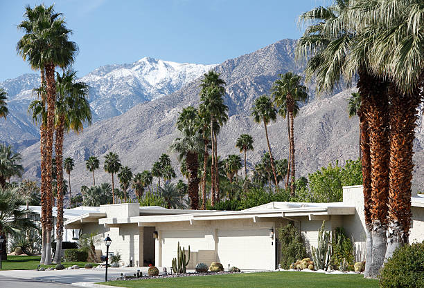 istock Mid Century Modernism With Palm Trees And Snow 174853465