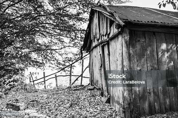 Abandonado Estável - Fotografias de stock e mais imagens de Abandonado - Abandonado, Antigo, Ao Ar Livre