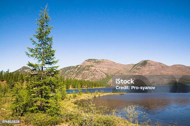 Il Lago Dvargalaak - Fotografie stock e altre immagini di Acqua - Acqua, Acqua stagnante, Ambientazione esterna