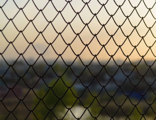 istock Wire fence cells in the evening at sunset 1748538381