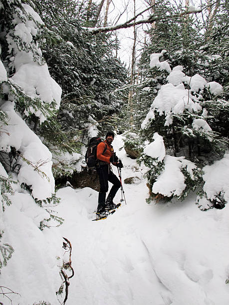 winter hiker auf dem trail - winter woods frost fragility stock-fotos und bilder