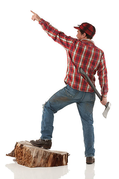 istock Rear view of a lumberman pointing 174853889