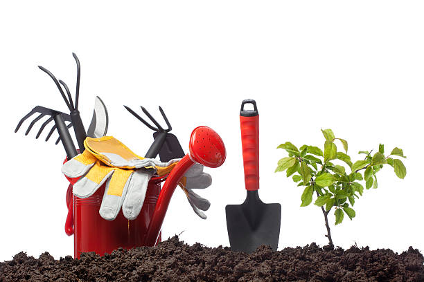 istock Watering plant on white background 174853892