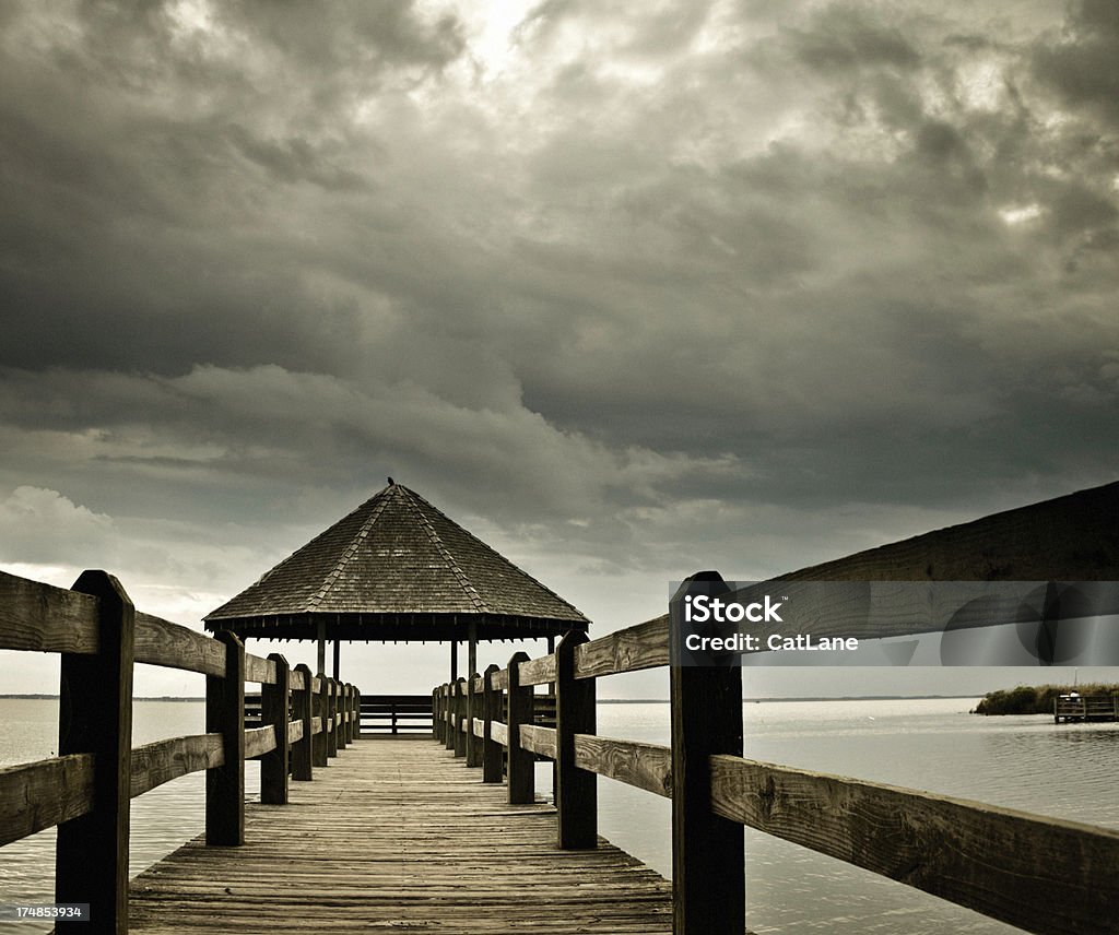 Trazos muelle y Crow - Foto de stock de Aire libre libre de derechos