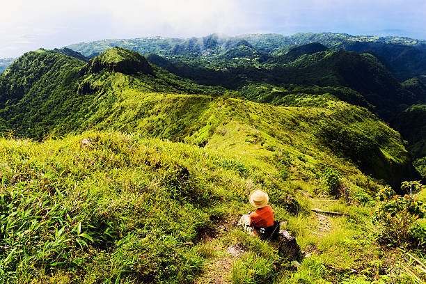istock View from Mount Pelee in Martinique 174853956