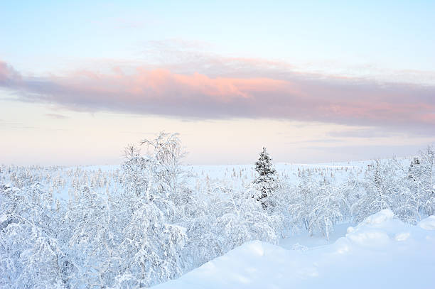 冬の風景 - extreme terrain powder snow winter snow ストックフォトと画像