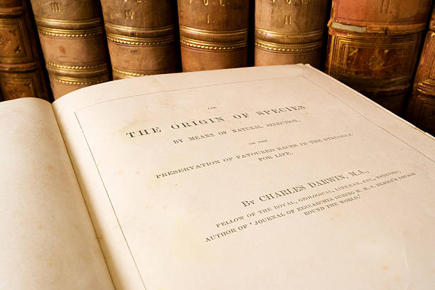 istock Origin of Species - Charles Darwin 174854627