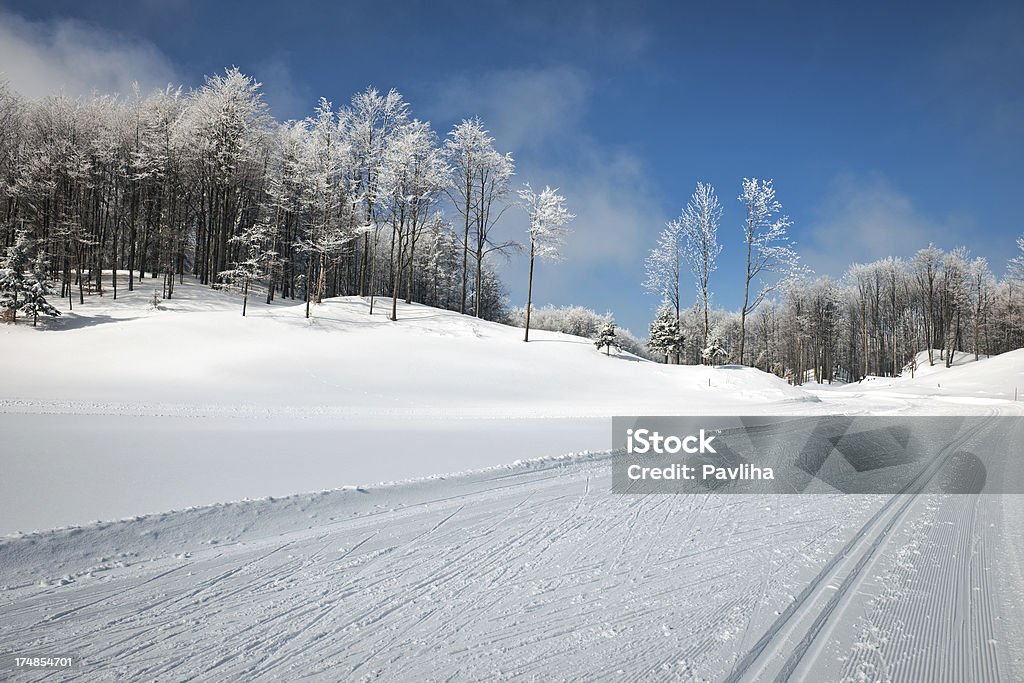 Hermoso paisaje de invierno con pistas de esquí a fondo - Foto de stock de Aire libre libre de derechos