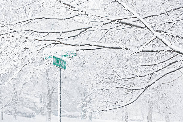 ventisca nieve calle señales - isweather2013 fotografías e imágenes de stock