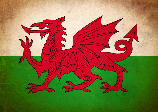 гранж флаг уэльса - welsh culture wales welsh flag dragon stock illustrations