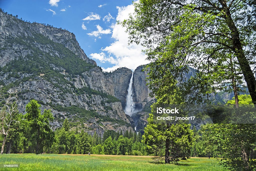 Wodospad Yosemite z różnych Meadow - Zbiór zdjęć royalty-free (Bez ludzi)