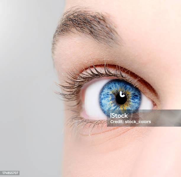 Blaues Auge Closeup Stockfoto und mehr Bilder von Auge - Auge, Blau, Nahaufnahme