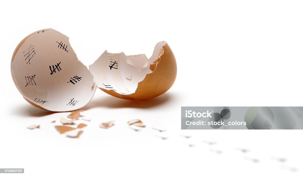 new born egg new born egg and steps coming out. Animal Egg Stock Photo