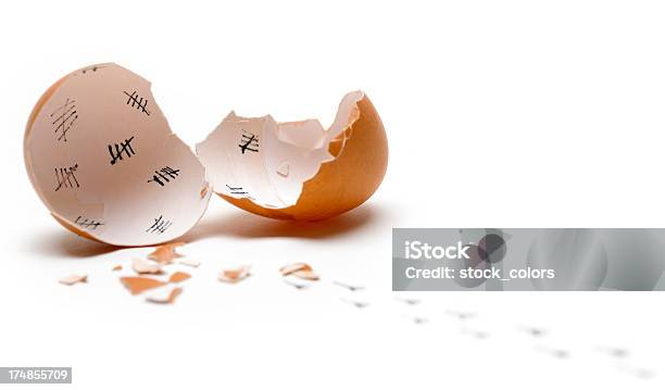 New Born Egg Stock Photo - Download Image Now - Animal Egg, No People, Opening