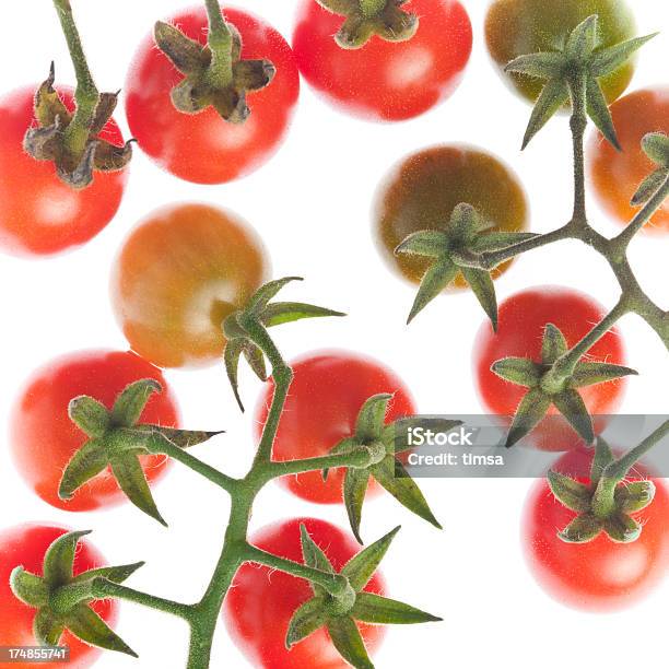 Foto de Unripe Tomates Maduros E Iluminado Por Trás e mais fotos de stock de Acaso - Acaso, Branco, Caule