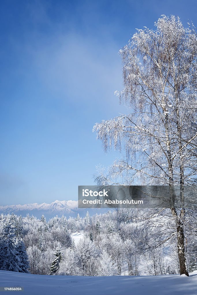 Красивый зимний пейзаж в Альпах Словения Европе - Стоковые фото Без людей роялти-фри
