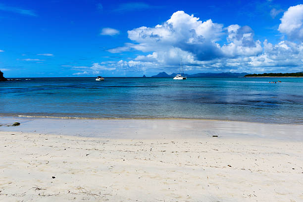 하얀 모래 해변으로 뻗은 말티니크 카리브계 - grande anse des salines beach 뉴스 사진 이미지