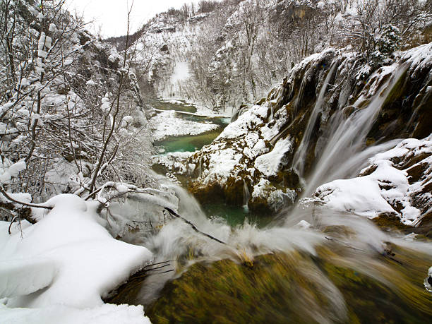 no topo - plitvice lakes national park croatia winter sparse - fotografias e filmes do acervo