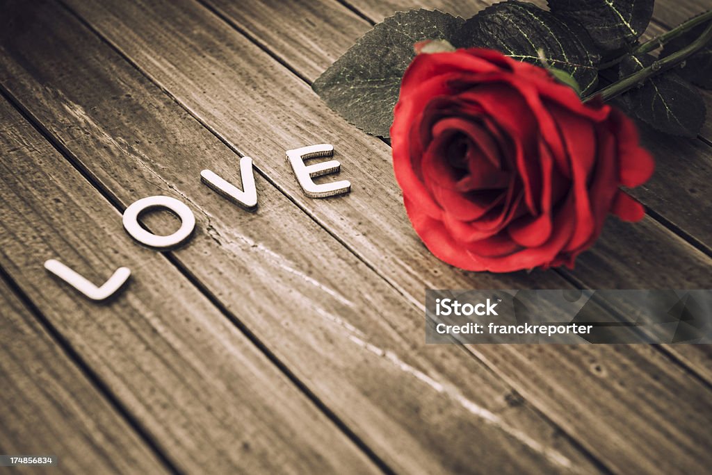 Rose para St. valentine - Foto de stock de Amor - Sentimiento libre de derechos