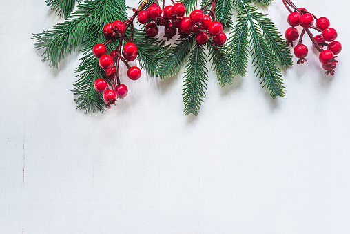Frame of green artificial fir branches and red berries on the white background; copy space