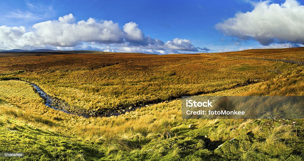 Golden moorland, North Pennines, Teesdale, Durham - Lizenzfrei Anhöhe Stock-Foto