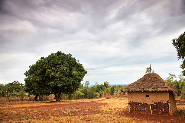 african capanna di fango - hut africa grass hut mud hut foto e immagini stock