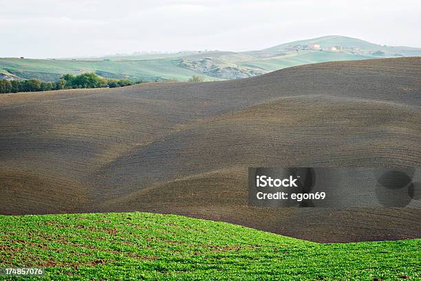 Toscana Campo In Autunno - Fotografie stock e altre immagini di Agricoltura - Agricoltura, Ambientazione esterna, Ambientazione tranquilla