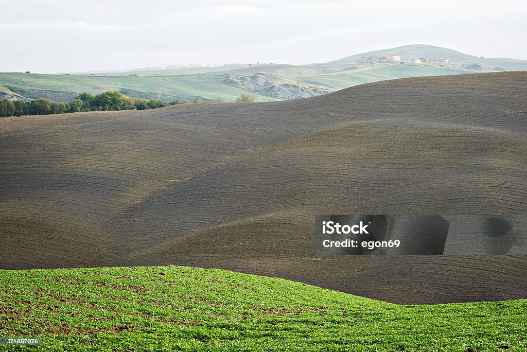 Tuscan campo no outono - Royalty-free Agricultura Foto de stock