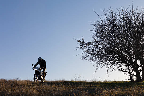 istock Rider silhouetted by sun during sunset. 174857084