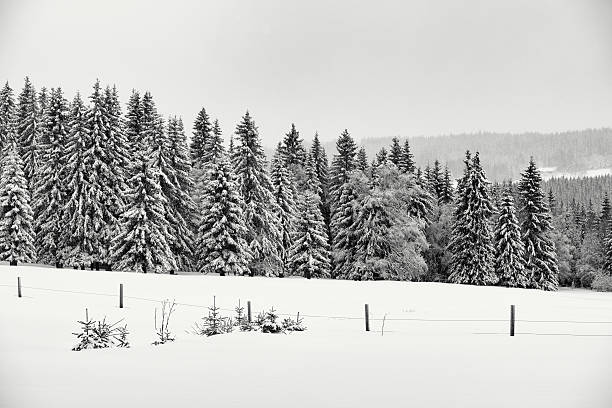 winter in european alps - dolomites
