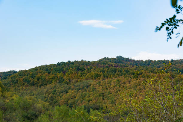 istock Autumn's Golden Canopy: Forested Hill Beneath Azure Skies 1748572707