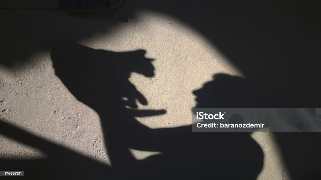 Sombras na parede - Foto de stock de Gato doméstico royalty-free