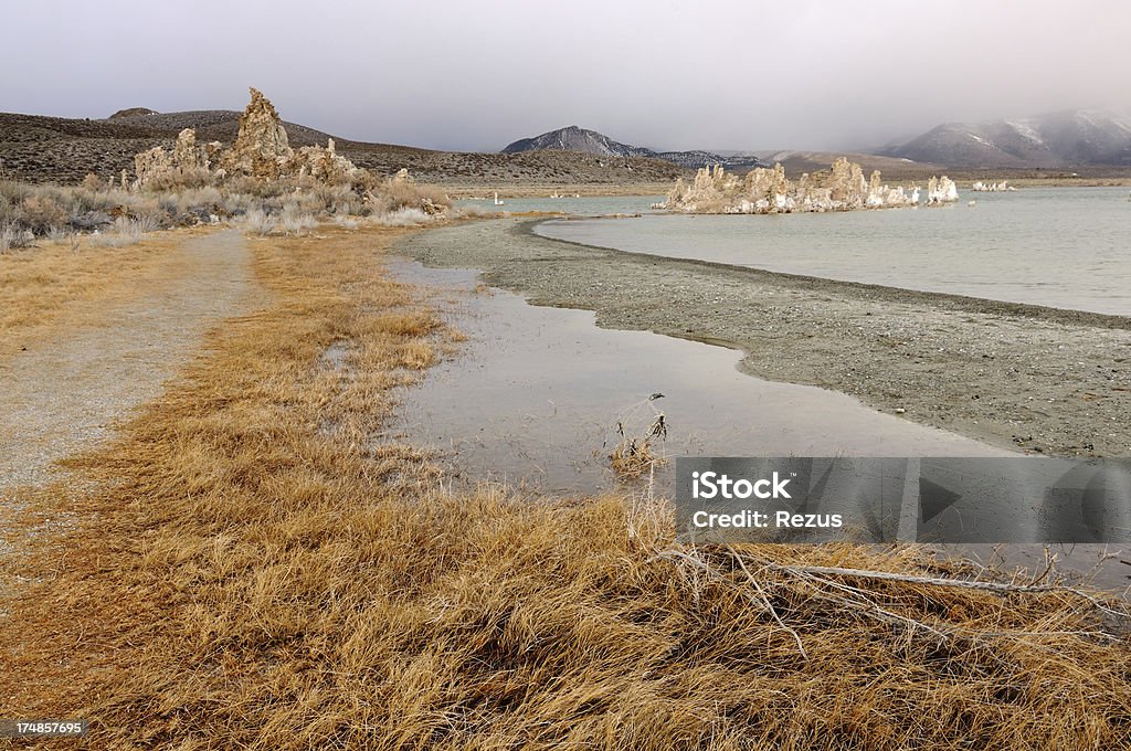 Mañana shore de Mono Lake, California, USA - Foto de stock de Agua libre de derechos