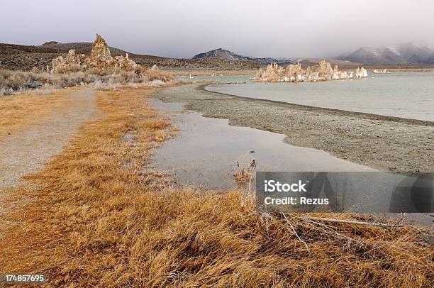 朝の海辺のモノ湖カリフォルニア州アメリカ - アメリカ合衆国のストックフォトや画像を多数ご用意 - アメリカ合衆国, オレンジ色, カラー画像
