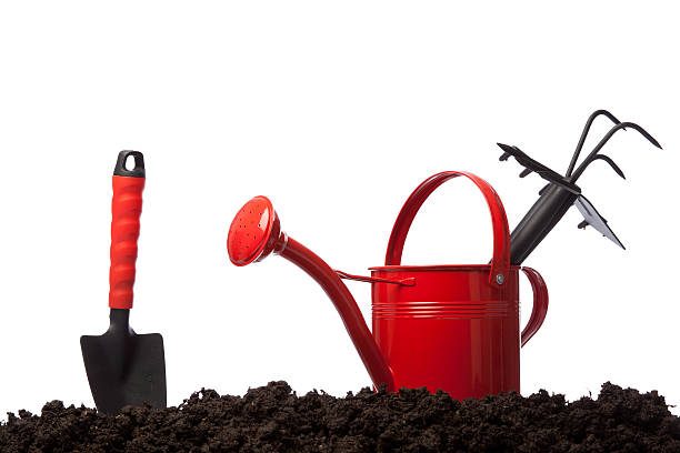 istock Gardening symbols on white background 174857952