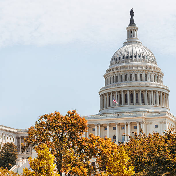 istock The United States Capitol building on Washington DC 174858103