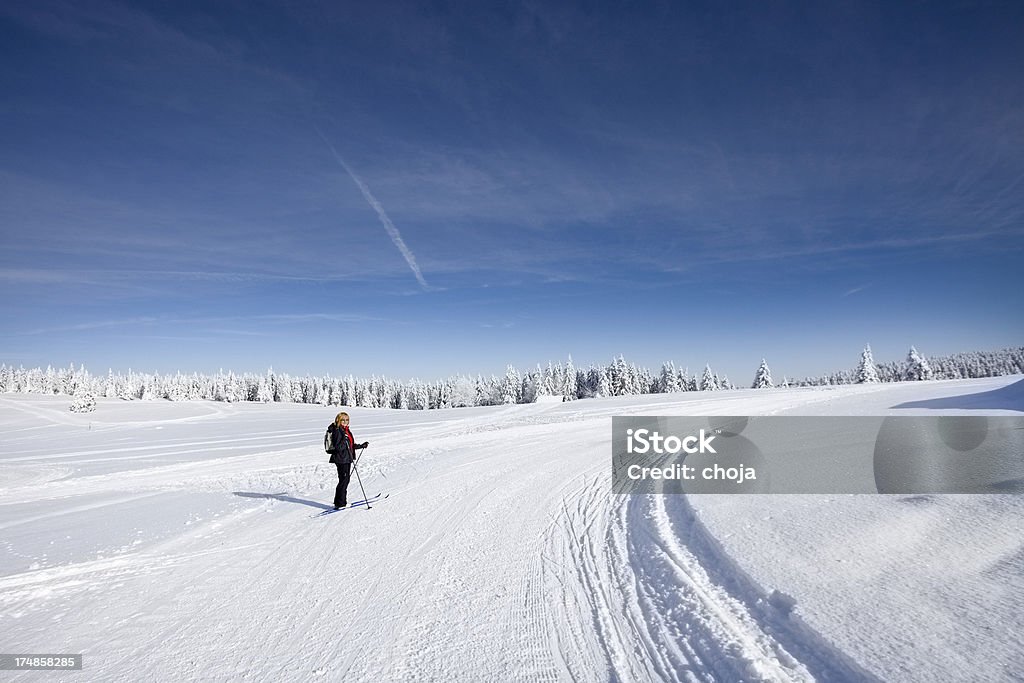 Ski-Läufer auf einem schönen winter day.Rogla, Slowenien - Lizenzfrei Fotografie Stock-Foto