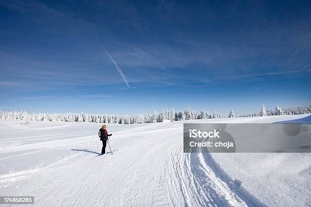 Skiläufer Auf Einem Schönen Winter Dayrogla Slowenien Stockfoto und mehr Bilder von Fotografie