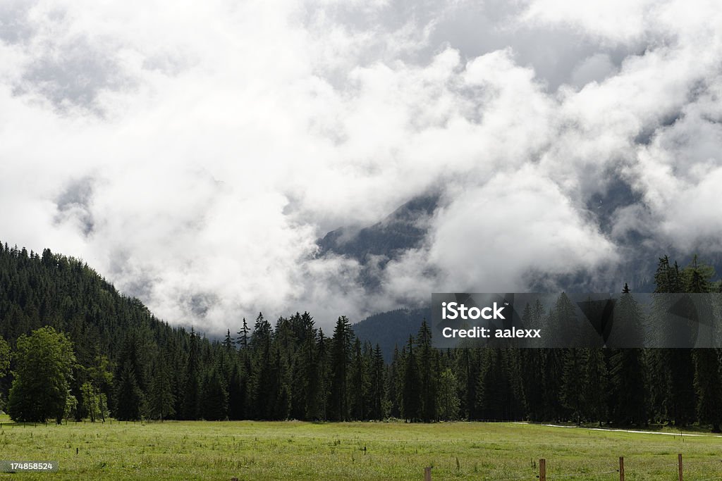 Paesaggio alpino, prato e Cielo romantico, Mountain Peaks - Foto stock royalty-free di Alpi