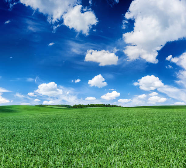 istock Square spring landscape 120MPix XXXXL - meadow, blue sky 174858595