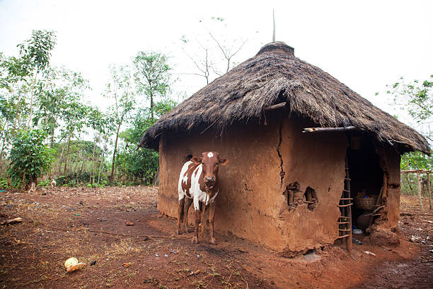 capanna di fango - hut africa grass hut mud hut foto e immagini stock