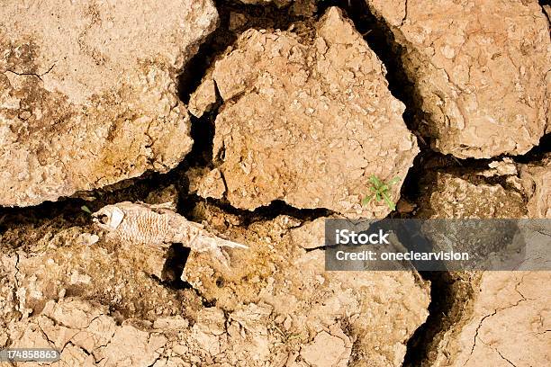 Suche Pęknięty Ziemi - zdjęcia stockowe i więcej obrazów Bliskie zbliżenie - Bliskie zbliżenie, Brudny, Brązowy