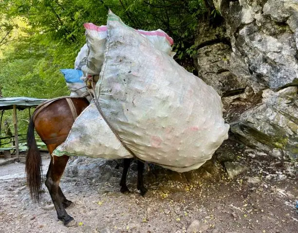 Photo of Horse on the way to Blue Eye Siri Kalter in Theth, Albanian Alps, carrying huge bags of garbage.