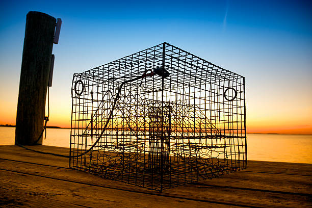 a braided myrtle artisanal fisherman's trap placed on a dock by the sea